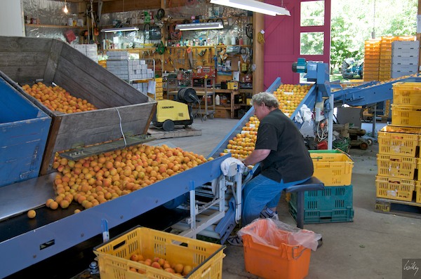 New Zealand 09 10  173